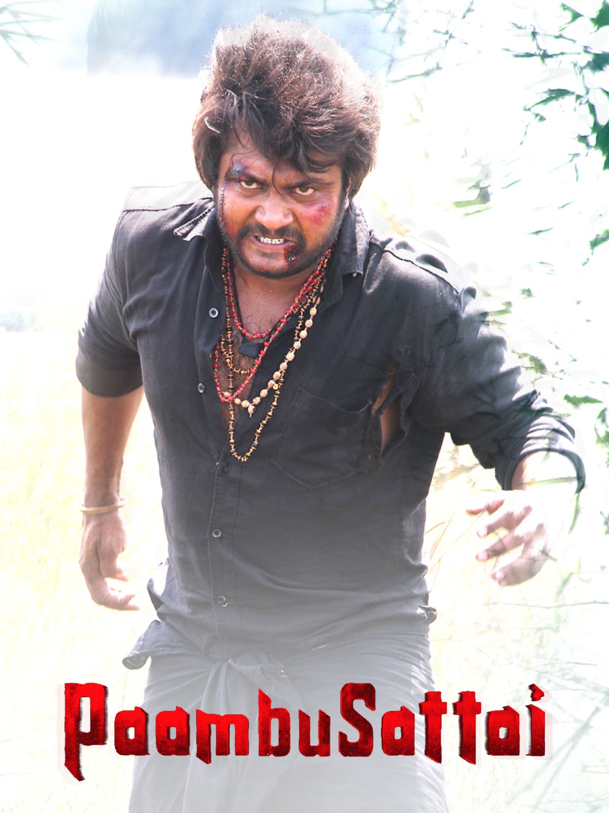 Paambhu Sattai 