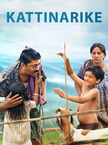 Kaatinarike